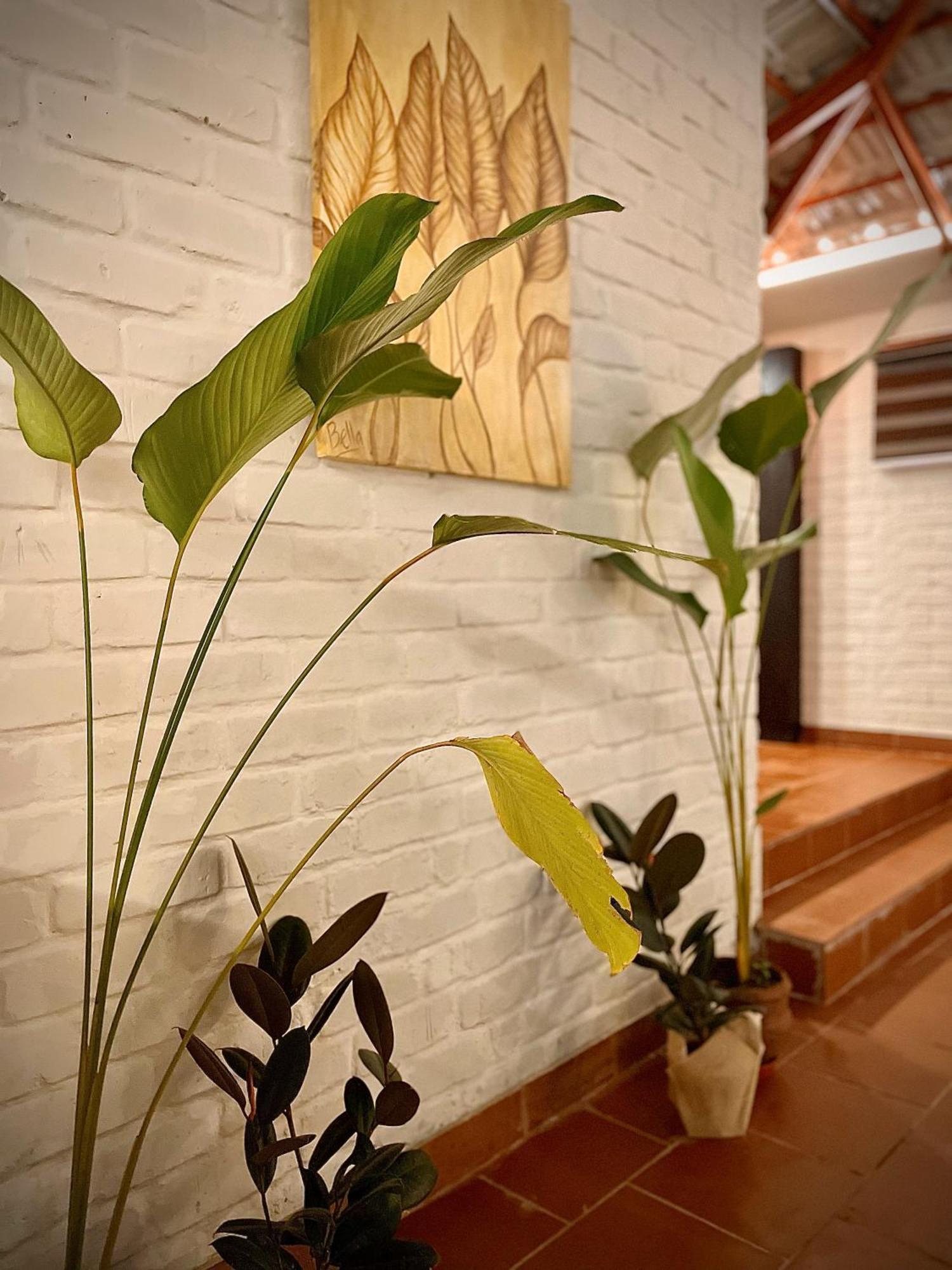 Boho'S Hotel فاركَالا المظهر الخارجي الصورة